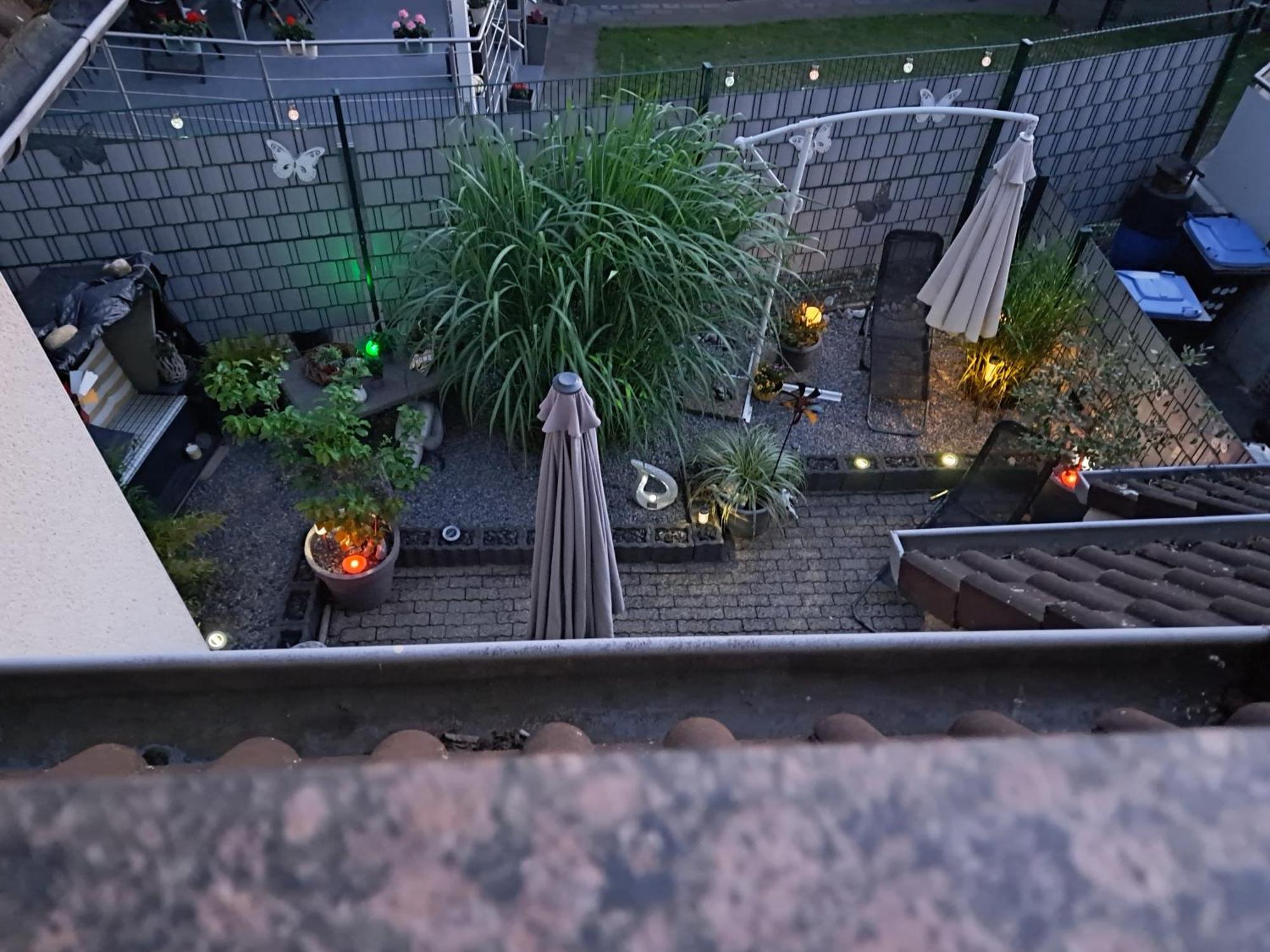 Ferienwohnung Talblume 마를 외부 사진